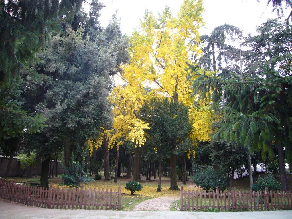 Villa Altieri Albano Laziale Εξωτερικό φωτογραφία
