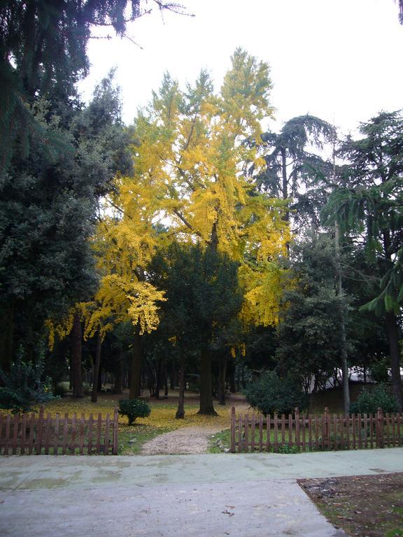 Villa Altieri Albano Laziale Εξωτερικό φωτογραφία