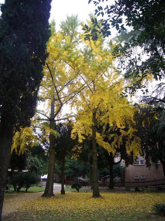 Villa Altieri Albano Laziale Εξωτερικό φωτογραφία