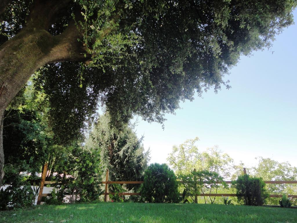 Villa Altieri Albano Laziale Εξωτερικό φωτογραφία